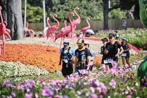 BIB: 
                            <button type="button" onclick="openModal(27794277)" class="btn btn-primary btn-sm float-right btn-popup" data-toggle="modal" data-target=".modal-high-quality">
                        <i class="fas fa-shopping-cart"></i> Add to Cart
                    </button>
                                            <button type="button" onclick="isThisMe(27794277, true)" class="btn btn-success btn-sm float-right btn-popup btn-isme hidden" data-toggle="tooltip" data-placement="bottom" title="นี่คือรูปของคุณใช่ไหม คลิกที่นี่เพื่อเอาเข้าอัลบั้ม">
                        <i class="fas fa-plus"></i> Add to album
                    </button>
                    <button type="button" onclick="isThisMe(27794277, false)" class="btn btn-warning btn-sm float-right btn-popup btn-isnotme hidden">
                        <i class="fas fa-ban"></i> Remove from album
                    </button>